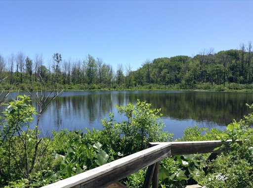 Spicer Lake Nature Preserve