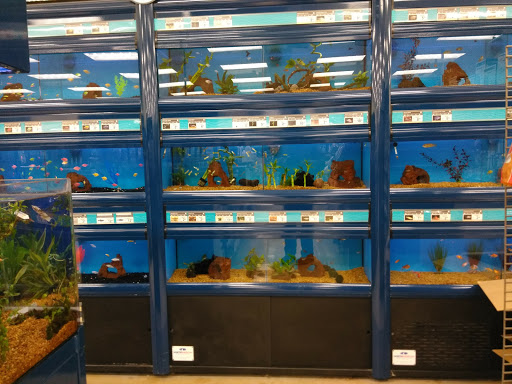 Pet Supply Store «Petco Animal Supplies», reviews and photos, 15660 SW Pacific Hwy, Tigard, OR 97224, USA