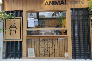 Animal Café image