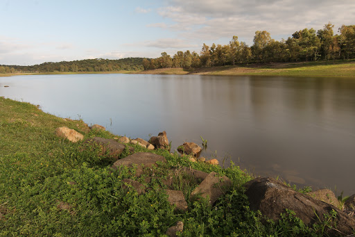 Lagos del Serrano (Guillena)