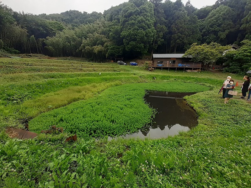 東京の里山 大谷里山農園