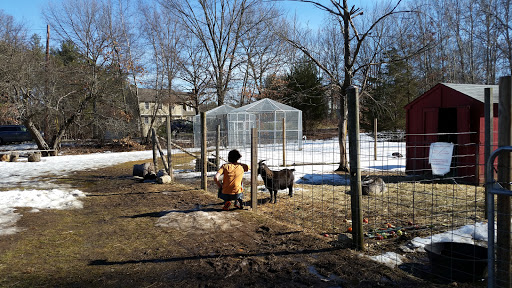 Animal Shelter «Animal Adventures Family Zoo & Rescue Center», reviews and photos, 336 Sugar Rd, Bolton, MA 01740, USA