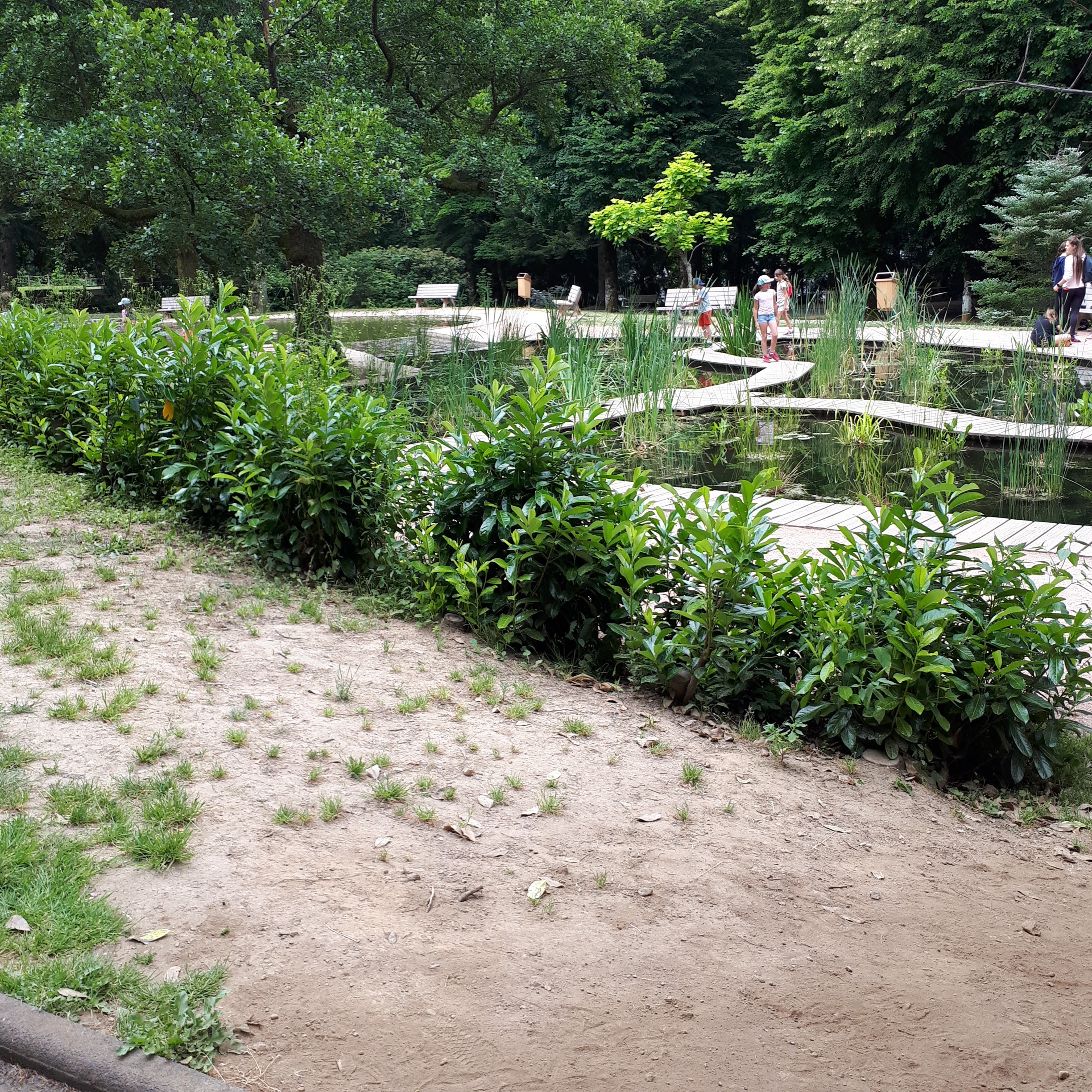 Photo n° 5 de l'avis de Cha.o fait le 09/07/2019 à 12:34