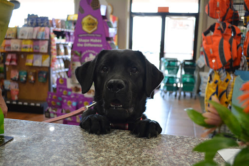 Pet Supply Store «The Natural Pet Enrichment Center», reviews and photos, 6720 Royalton Rd, North Royalton, OH 44133, USA
