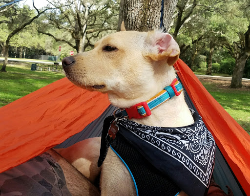 Park «Tree Tops Park», reviews and photos, 3900 SW 100th Ave, Davie, FL 33328, USA