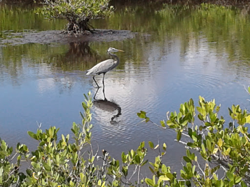 Community Center «Campbell Community Center», reviews and photos, 701 South St, Titusville, FL 32780, USA