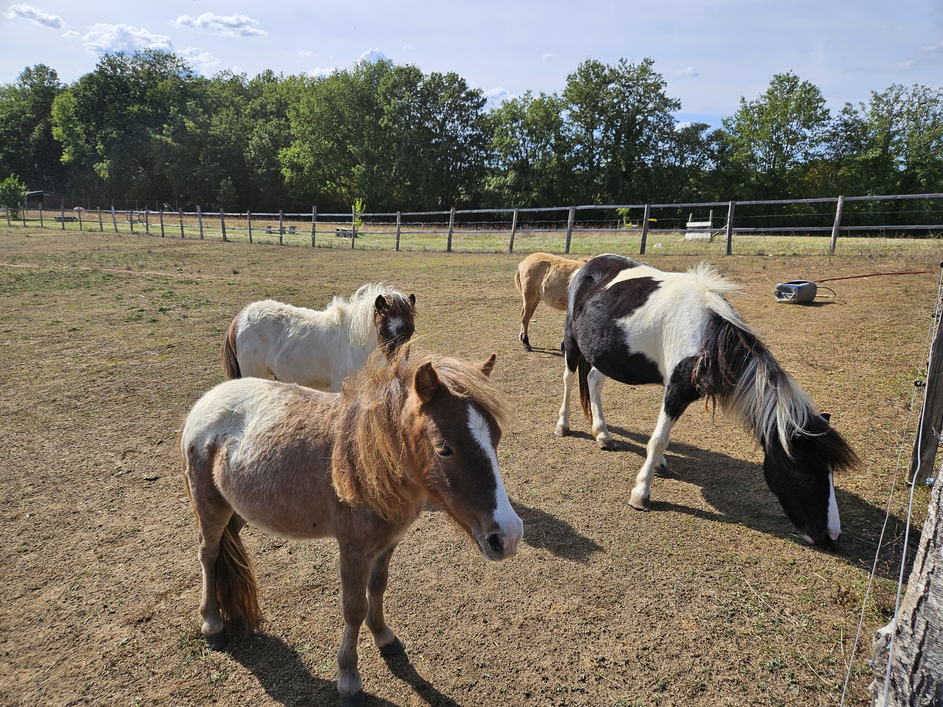 Photo n° 7 de l'avis de Emmanuelle.a fait le 22/09/2023 à 14:59