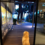 Photo n°10 de l'avis de Dr..o fait le 17/06/2018 à 07:37 sur le  Hotel Mediterraneo à Lido di Jesolo