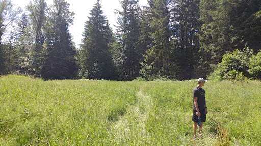 Tourist Attraction «Melmont ghost town», reviews and photos, Carbon River Rd, Carbonado, WA 98323, USA