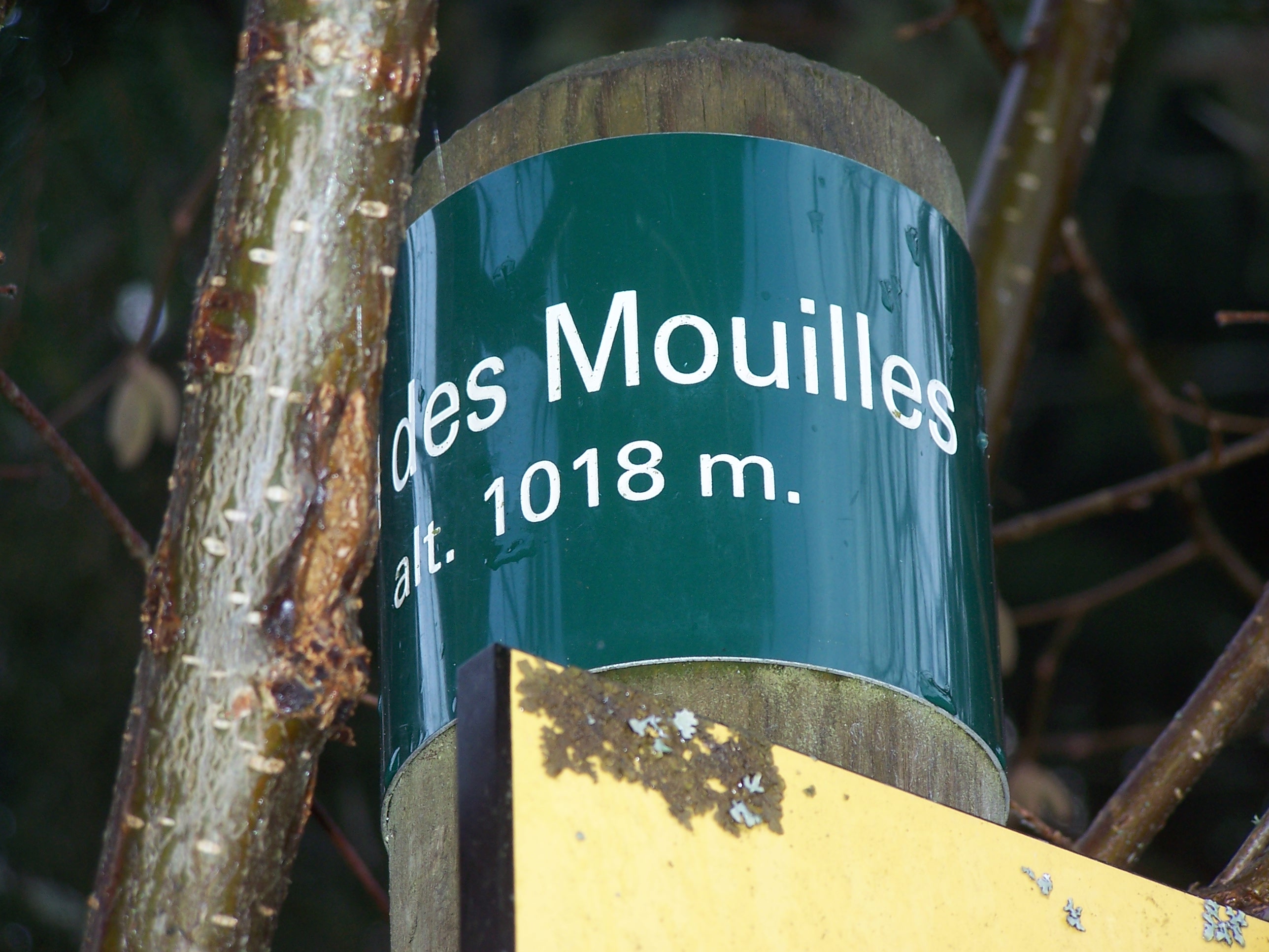 Photo n° 1 de l'avis de Jean-Yves.E fait le 19/02/2022 à 12:18
