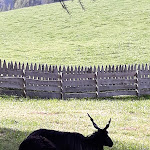 Photo n°16 de l'avis de Elena.a fait le 29/09/2019 à 18:57 sur le  Lobishof Albergo à Oberbozen