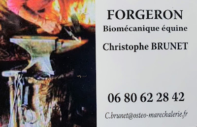 Chriss maréchal-ferrant / ostéopathe equin à Beaugas
