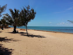 Keerimalai beach'in fotoğrafı çok temiz temizlik seviyesi ile