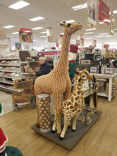 Shopping Mall «Fresh Pond Mall», reviews and photos, 545 Concord Ave #21, Cambridge, MA 02138, USA