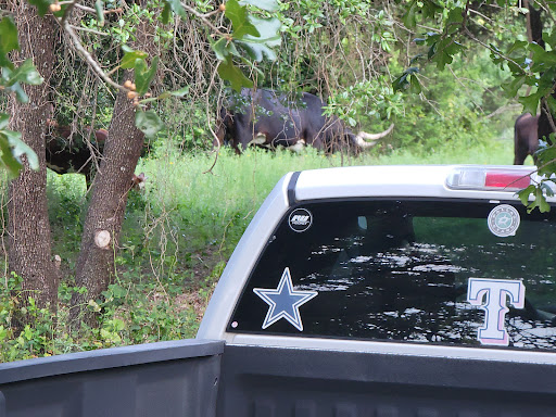 Ford Dealer «Commercial Motor Company», reviews and photos, 160 S Commercial St, Aransas Pass, TX 78336, USA