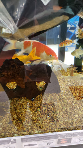 Pet Supply Store «Petco Animal Supplies», reviews and photos, 2021 Evergreen Ave, Modesto, CA 95350, USA