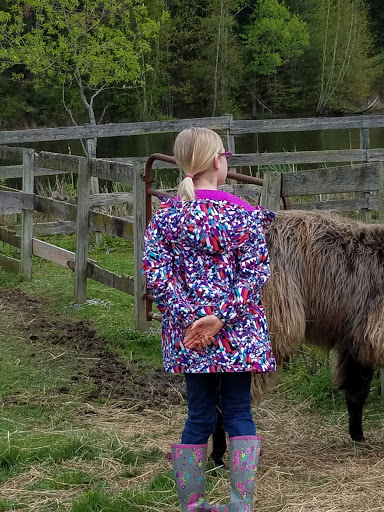 Farm «Dakota Ridge Farm», reviews and photos, 189 E High St, Ballston Spa, NY 12020, USA