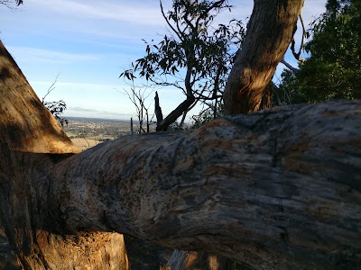Photos of The Piccaninny