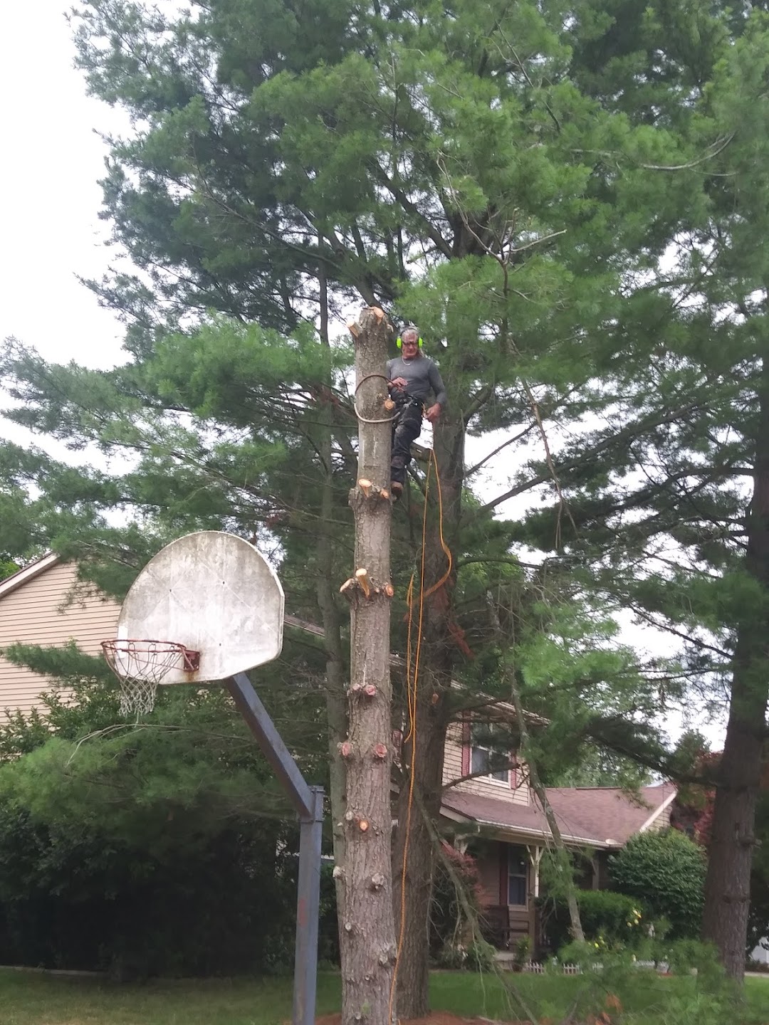 SK TREE SERVICE