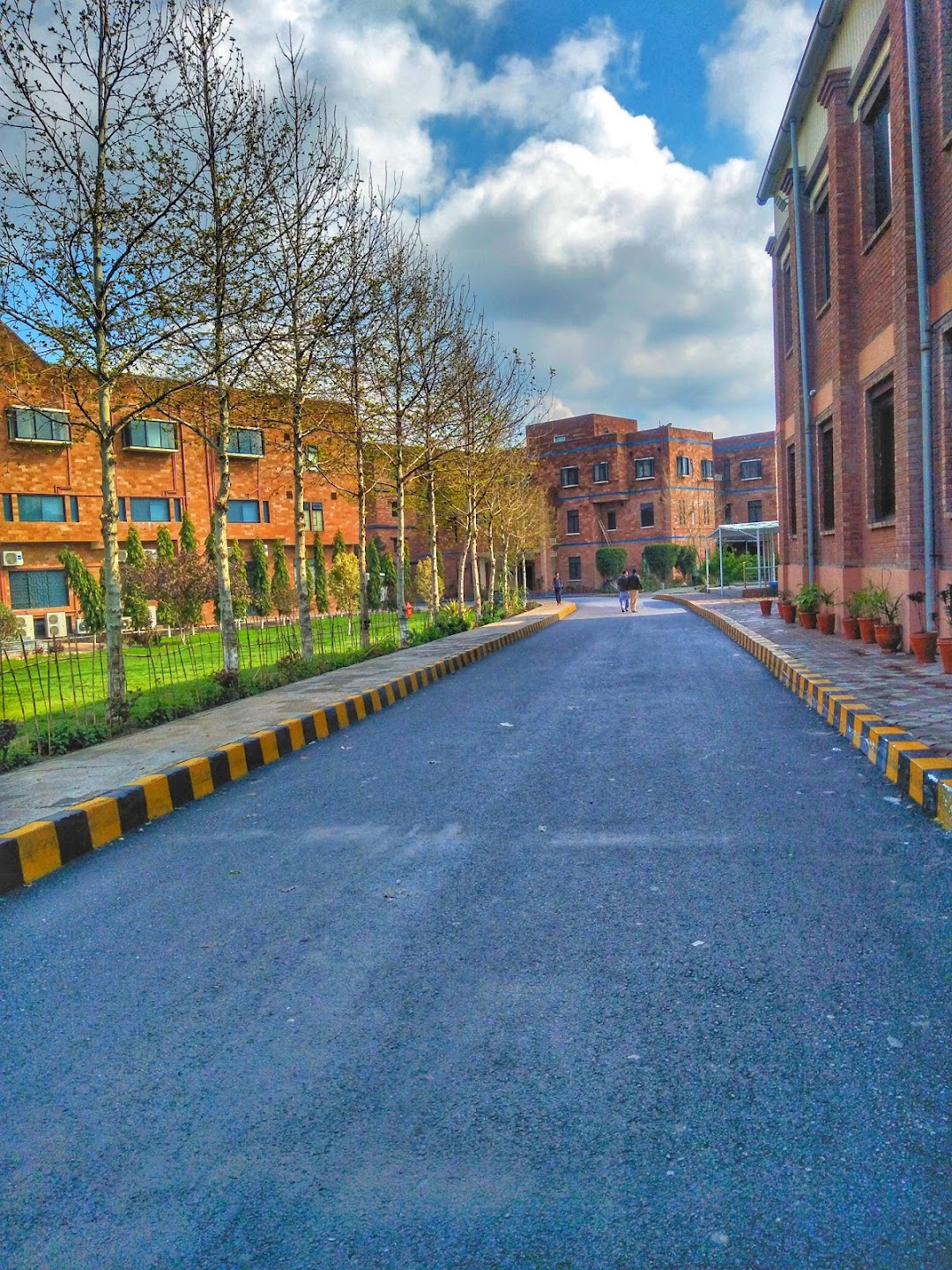 Institute of Management Sciences (IMSciences), Peshawar