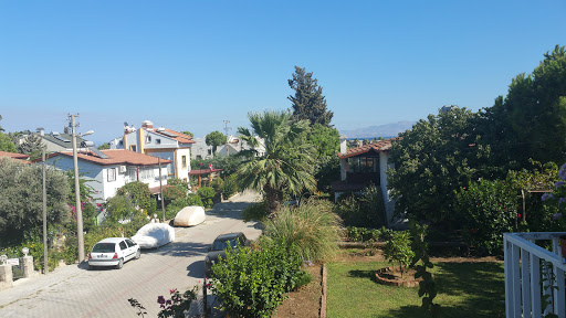 Erguvan Adası