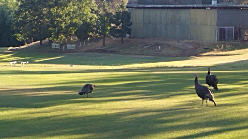Golf Course «Adams Springs Golf Course», reviews and photos, 14347 Snead Ct, Cobb, CA 95426, USA