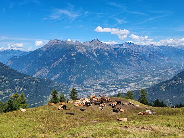 Alpage de Bovine - Martigny