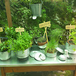 Photo n°2 de l'avis de Gessica.u fait le 07/08/2023 à 18:00 sur le  Osteria Ponte Molassa à Andreis