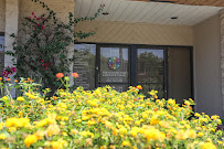 Sun Acupuncture & Holistic Clinic, Inc. - Photo 3 - Car repair in Ontario, CA, Riverside
