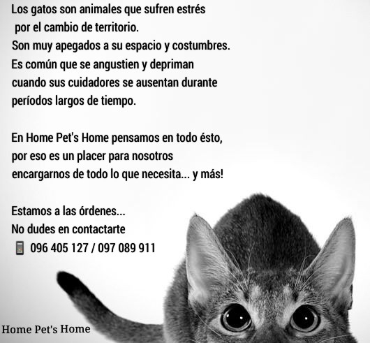 Home Pet's Home - Guardería - Guardería