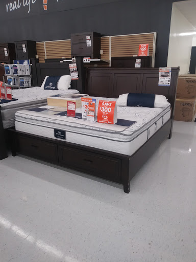 Discount Store «Big Lots», reviews and photos, 1101 WP Ball Blvd, Sanford, FL 32771, USA