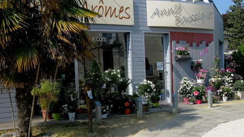 Caviste Fleurs d'Arômes Neuville-de-Poitou