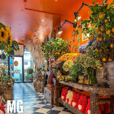 Maison Guintoli, curieux fleuriste à Arles