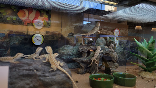 Pet Supply Store «Petco Animal Supplies», reviews and photos, 12444 NW 10th St #301, Yukon, OK 73099, USA