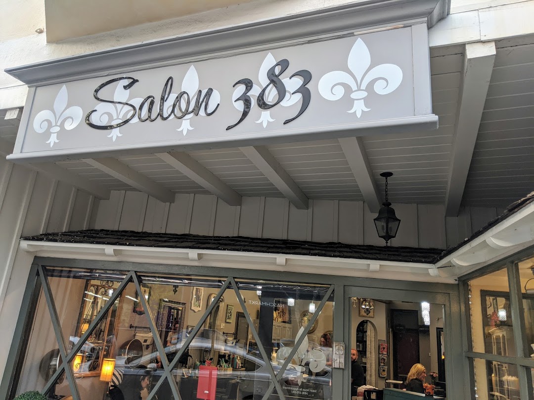 Salon 383