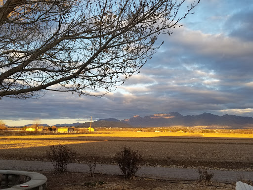 Vineyard «Rio Grande Vineyard & Winery», reviews and photos, 5321 NM-28, Las Cruces, NM 88005, USA