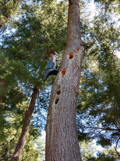 Museum «Dorflinger Glass Museum», reviews and photos, 37 Suydam Dr, White Mills, PA 18473, USA