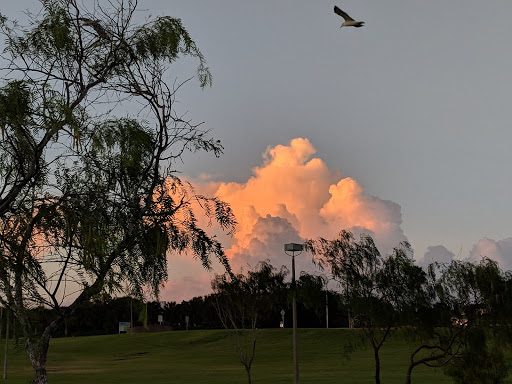 Amphitheater «Cole Park Amphitheater», reviews and photos, 1526 Ocean Dr, Corpus Christi, TX 78404, USA