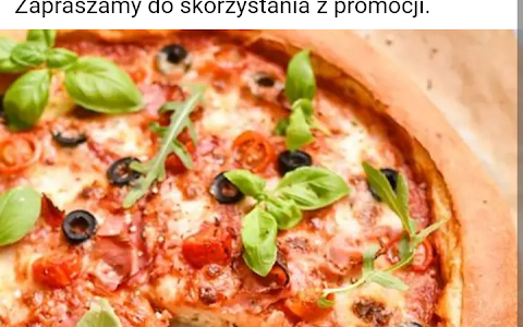 Sieć Pizzerii PizzaPunkt image