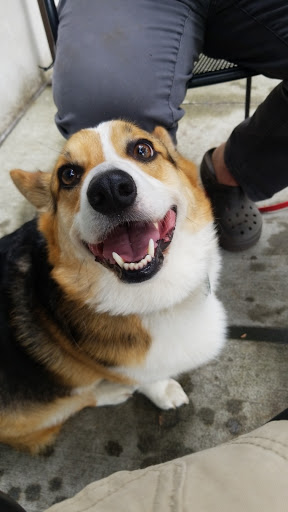 Coffee Shop «Social Grounds Coffee & Tea Co.», reviews and photos, 18333 Bothell Way NE #103, Bothell, WA 98011, USA