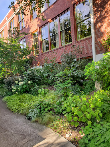 Hotel «McMenamins Anderson School», reviews and photos, 18607 Bothell Way NE, Bothell, WA 98011, USA