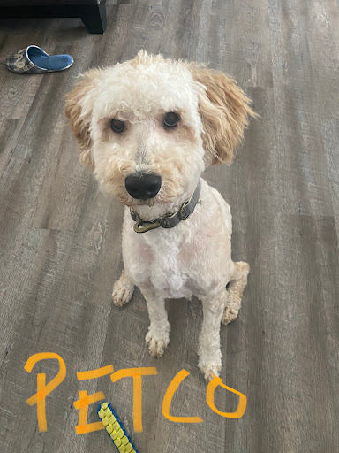 Pet Supply Store «Petco Animal Supplies», reviews and photos, 517 N 3rd Pl, Manhattan, KS 66502, USA