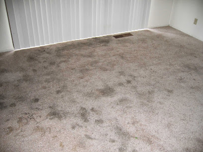 Eminent Carpet Cleaning
