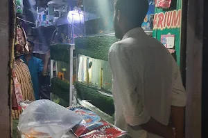 Sony Fish Aquarium - Best Aquarium Shop In Mathura image