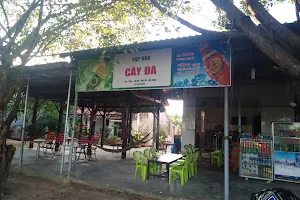 Cafe võng Cây Đa image