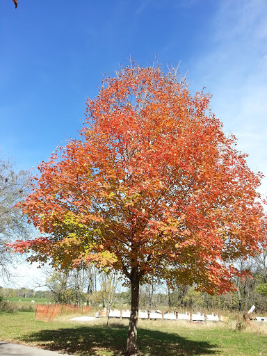 Amusement Park «Meadowmere Park», reviews and photos, 13610 Byars Rd, Grandview, MO 64030, USA