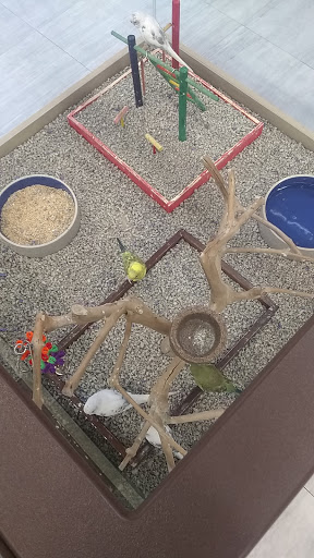 Pet Store «Petland», reviews and photos, 10289 Ulmerton Rd, Largo, FL 33771, USA