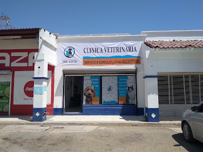 Clinica veterinaria Dra Lizeth
