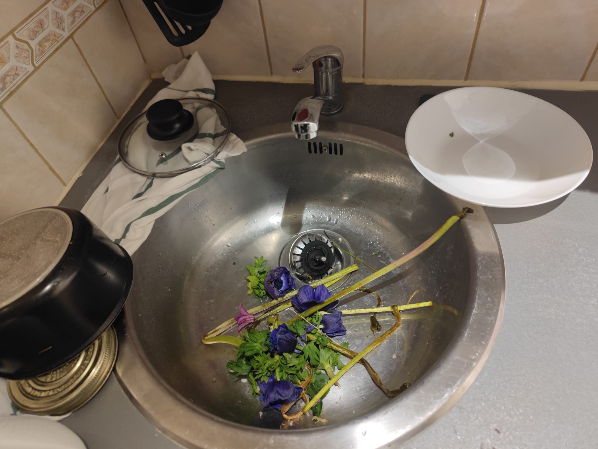 Photo n° 2 de l'avis de Tifenn.i fait le 30/12/2023 à 18:59