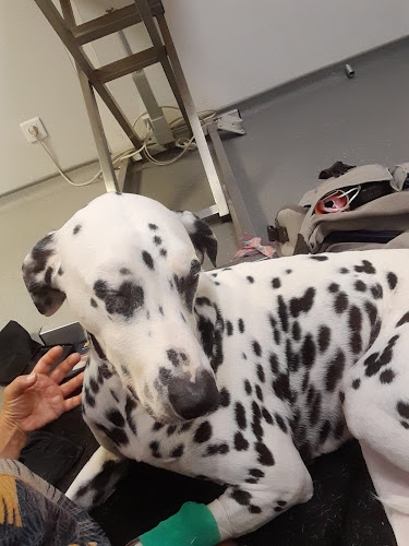 Comentarii opinii despre Clinique Vétérinaire AniCura VetRef